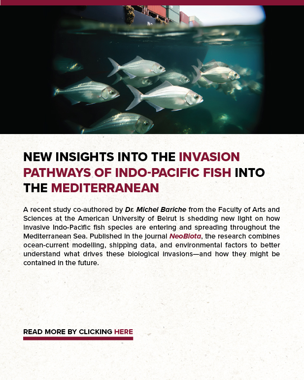 New Insights into the Invasion Pathways of Indo-Pacific Fish into the Mediterranean
